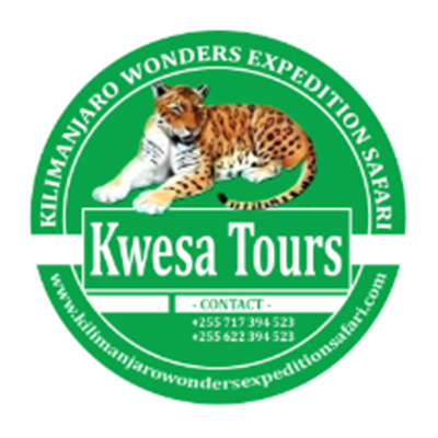 Kwesa Tours