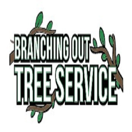 Tree Cutting & Trimming Baldwin