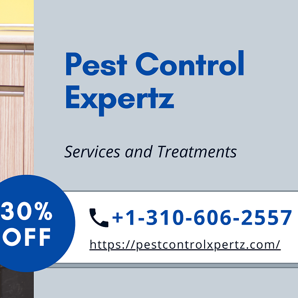 Pest Control Services In Delaware