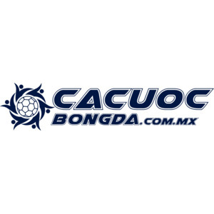 Cá Cược Bóng Đá
