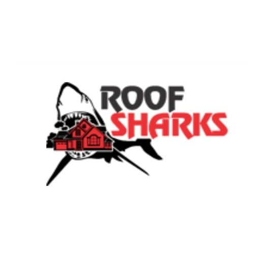 The Roof Sharks (Concord, CA)