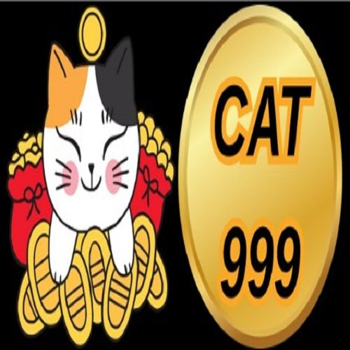 cat999 dev