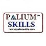 PALIUM SKILLS