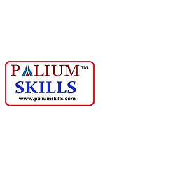 PALIUM SKILLS