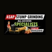 Asap Stump Grinding - Startupxplore Asap Stump Grinding