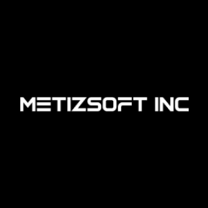 Metizsoft Inc