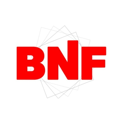 BNF Roofing (Fort Smith, AR)