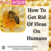 How To Get Rid Of Fleas On People - Startupxplore How To Get Rid Of Fleas On People