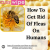 How To Get Rid Of Fleas On People
