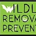 Wildlife Removal & Prevention