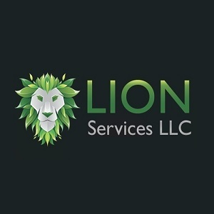 Lion Roofing (New Rochelle, NY)