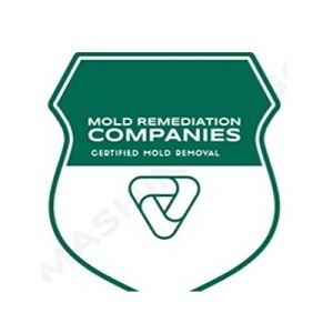 New Bedford Mold Remediation Pros