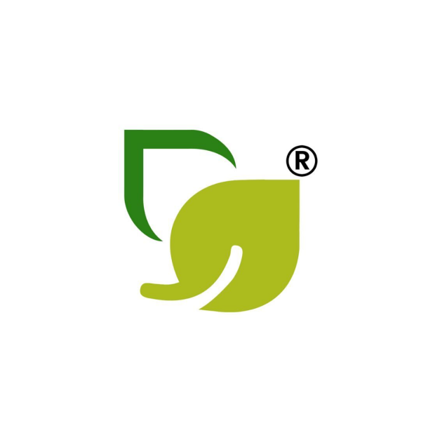 DBR Exports India