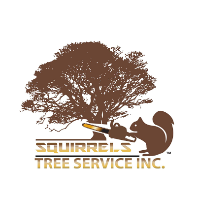 Squirrels Tree Service Inc