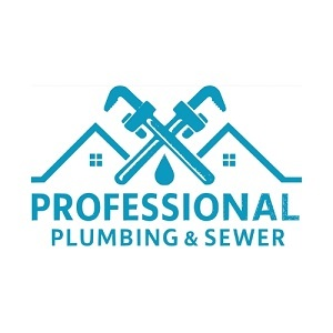 Professional Plumbing & Sewer