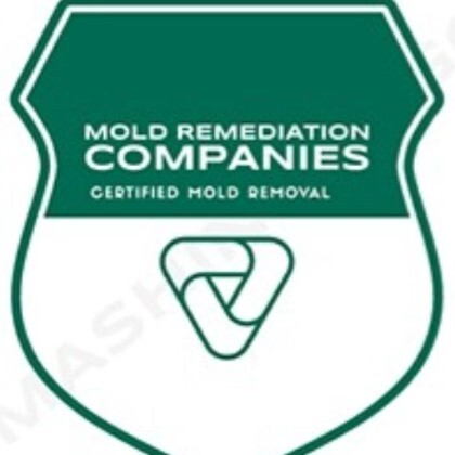 Seattle Mold Remediation Pros
