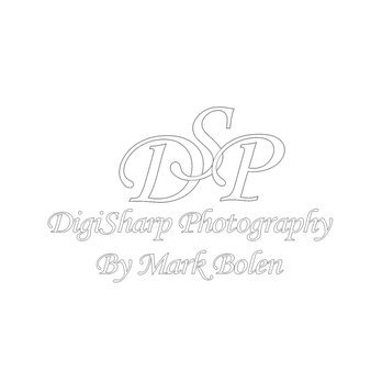 DigiSharp Photography