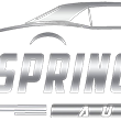 Springston Auto