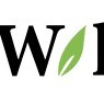 Willowgreen Dental - Startupxplore Willowgreen Dental