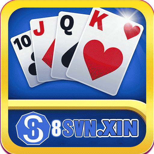 8svnxin