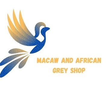 Macaw and Grey Parrot Shop