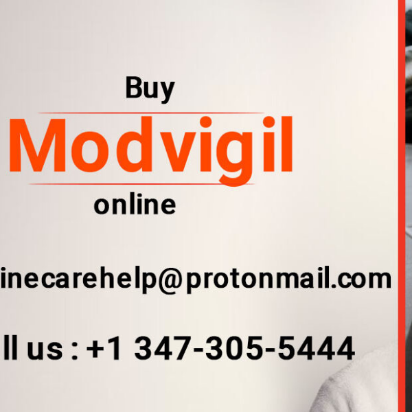 getmodvigilonline3473o55444