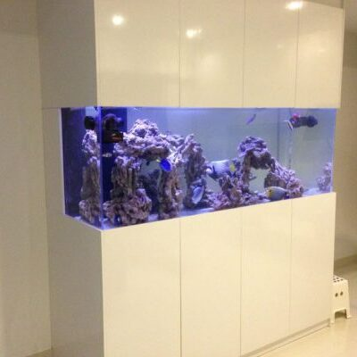 Marine fish tank