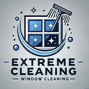Window Cleaning Service