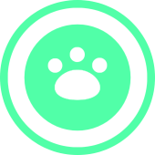 Swipet
