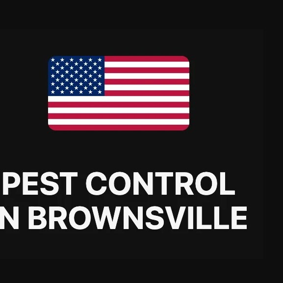 Pest Control in Brownsville