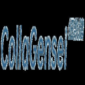 Gensei Global Industries Co Ltd