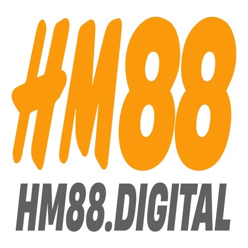 hm88 digital