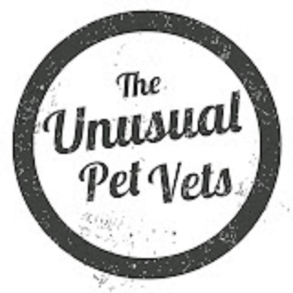 The Unusual Pet Vets Sunshine Coast