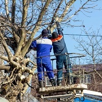 Cottonwood Heights Tree Services