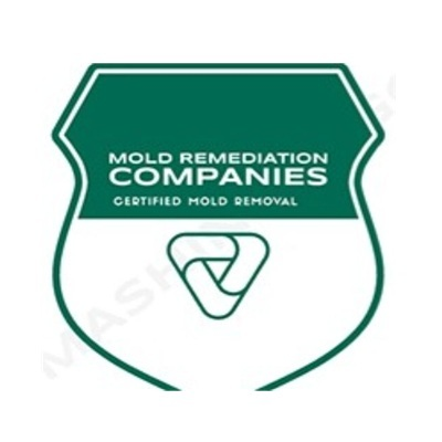 Decatur Mold Remediation Pros