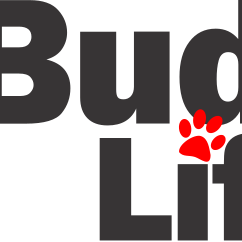 buddylifemagazine