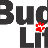 buddylifemagazine