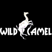 Wild Camel - Startupxplore Wild Camel