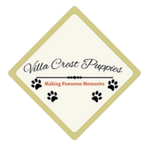 Villa Crest Puppies