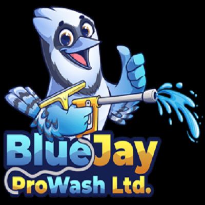 Blue Jay Pro Wash