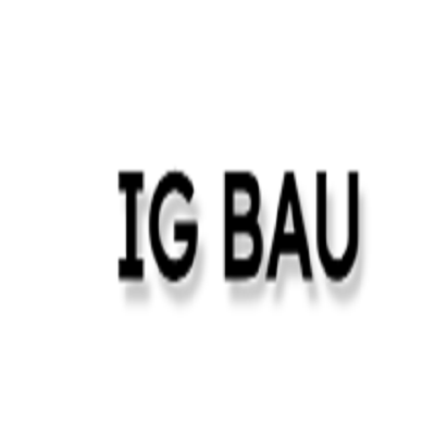IG Bau Sanierung