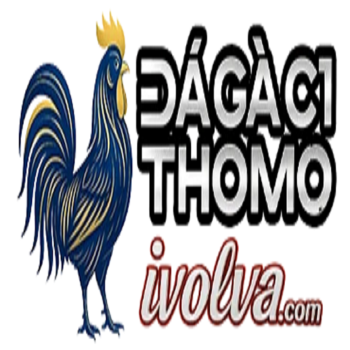 ĐÁ GÀ C1 | TRỰC TIẾP ĐÁ GÀ  THOMO XEM MIỄN PHÍ