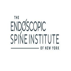 Endoscopic Spine Institute of New York