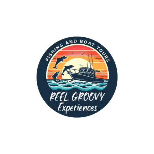 Reel Groovy Experiences