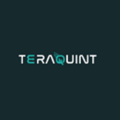 TeraQuint INC