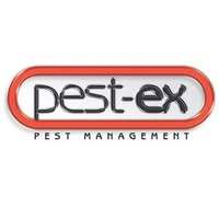 Pest Control Gold Coast