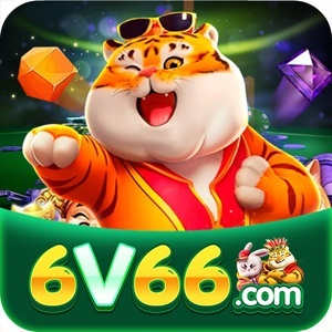 6v66 bet