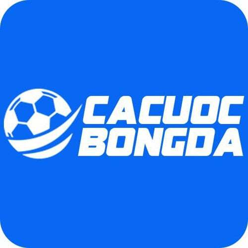 Cá Cược Bóng Đá