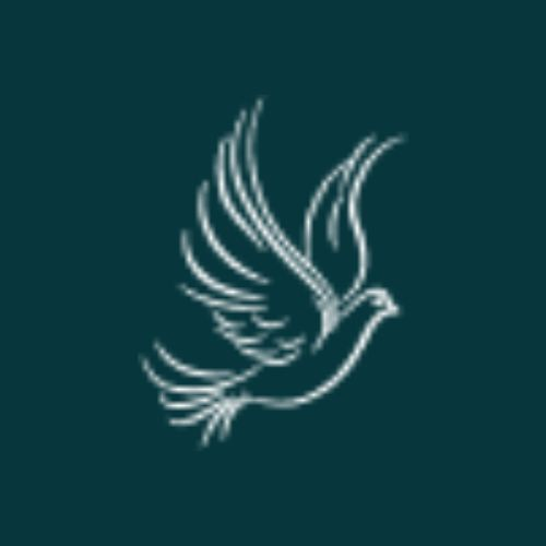 Peliswan Impex Private Limited