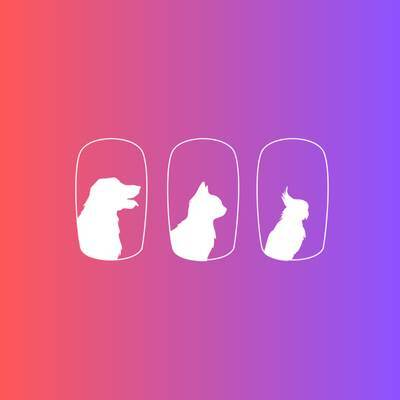 Pet Travel Certificates